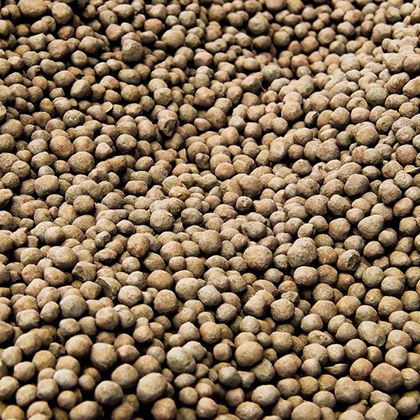 Dry Products Image